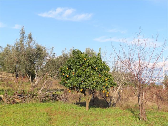 Image No.25-Property for sale