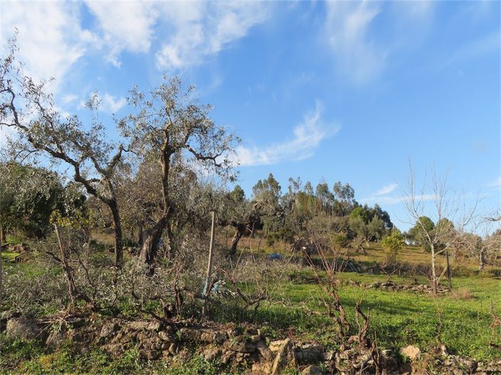 Image No.26-Property for sale