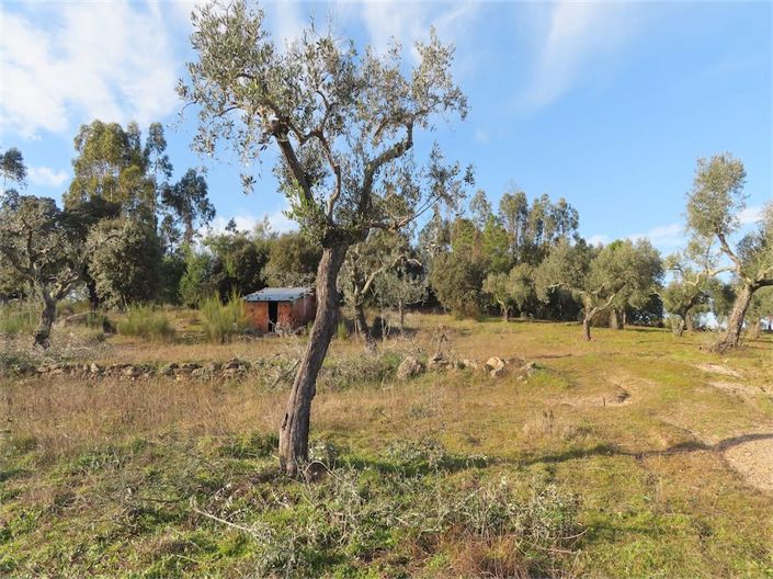 Image No.3-Property for sale