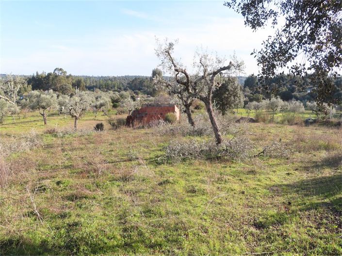 Image No.4-Property for sale