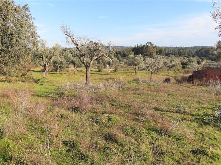 Image No.5-Property for sale