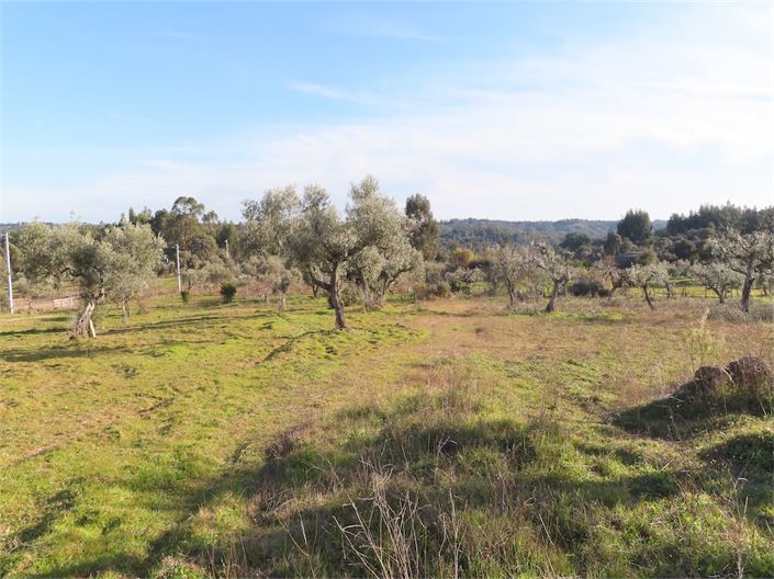 Image No.7-Property for sale