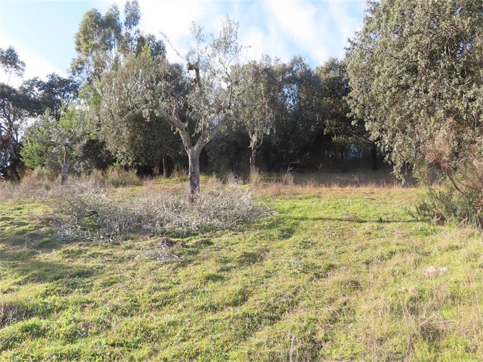 Image No.8-Property for sale