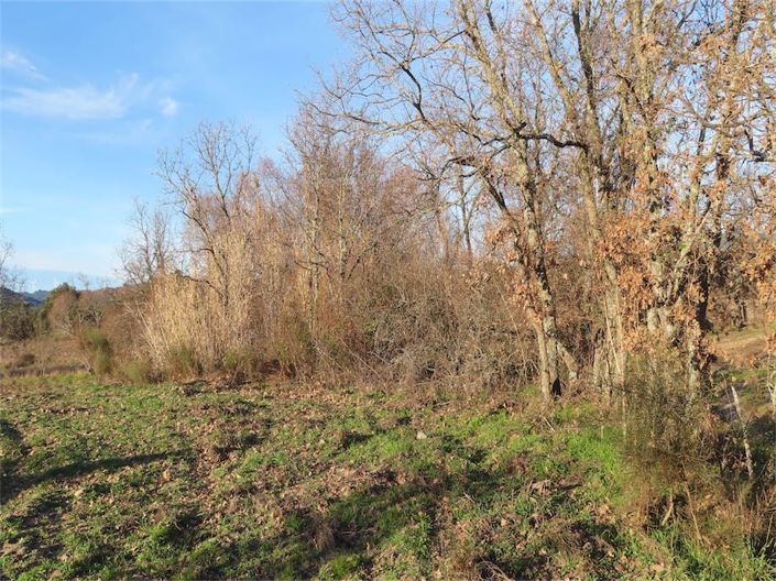 Image No.12-Property for sale