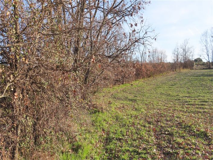 Image No.13-Property for sale