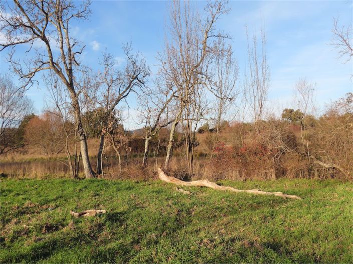 Image No.16-Property for sale