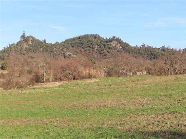 Image No.1-Propriété à vendre à Castelo Branco