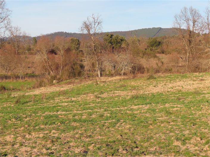 Image No.8-Property for sale