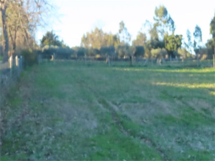 Image No.22-Property for sale