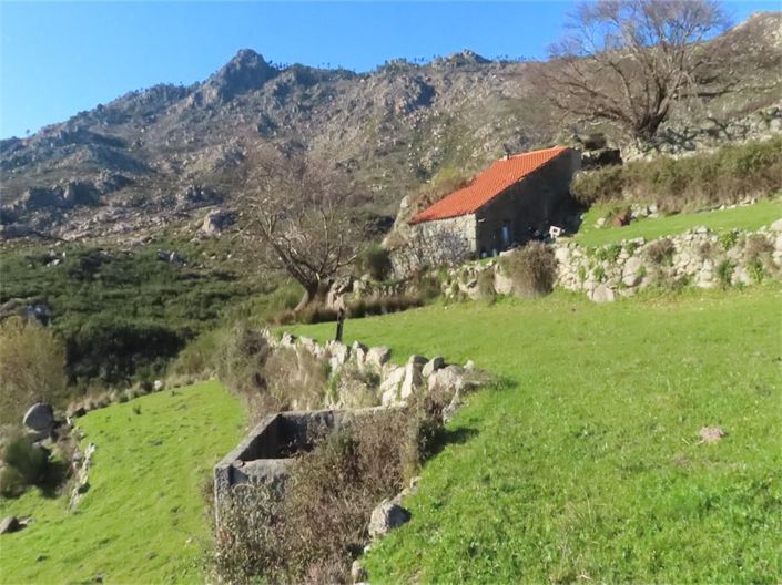 Image No.1-Propriété à vendre à Castelo Branco