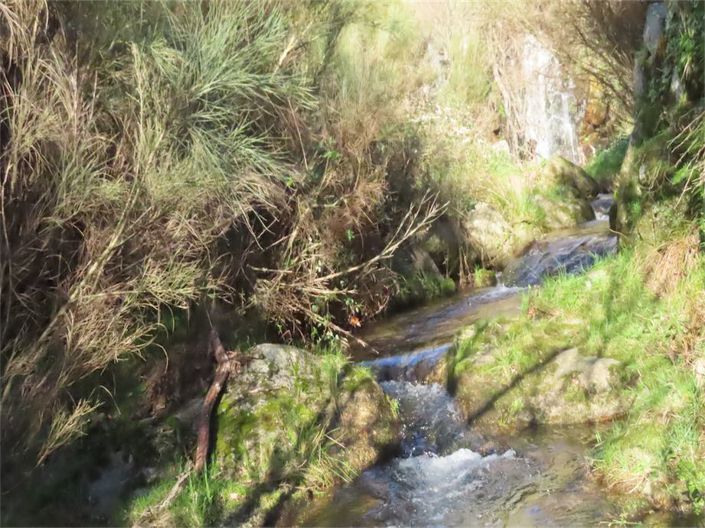 Image No.20-Property for sale