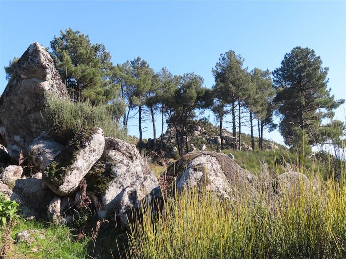 Image No.32-Property for sale