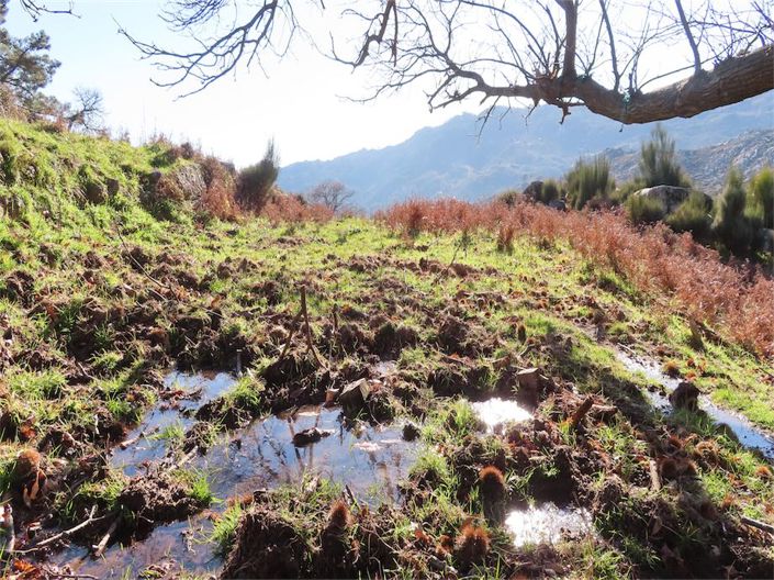 Image No.34-Property for sale