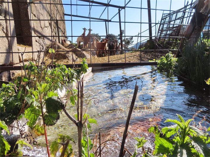 Image No.37-Property for sale