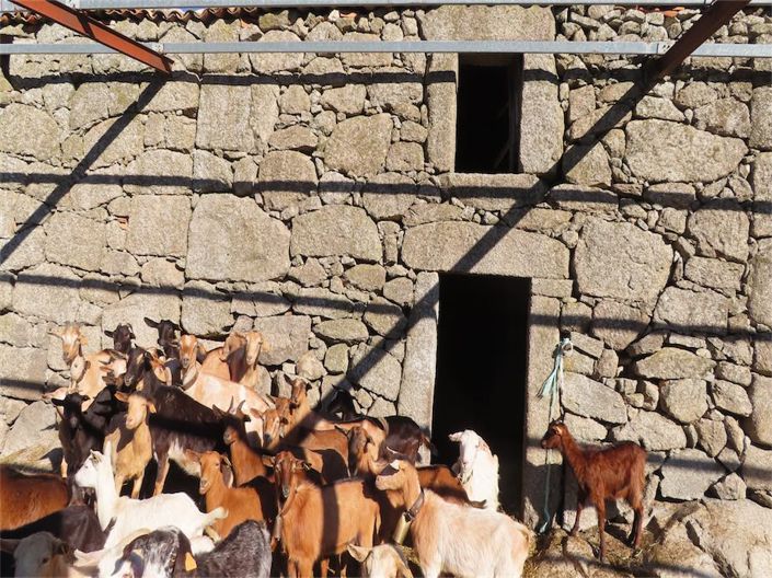 Image No.38-Property for sale