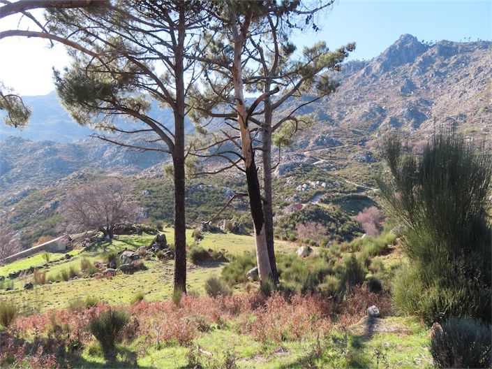 Image No.42-Property for sale