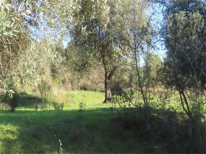 Image No.11-Property for sale