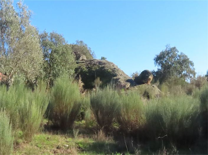 Image No.17-Property for sale