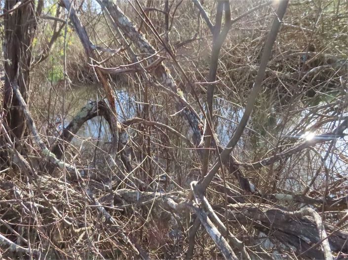 Image No.2-Property for sale