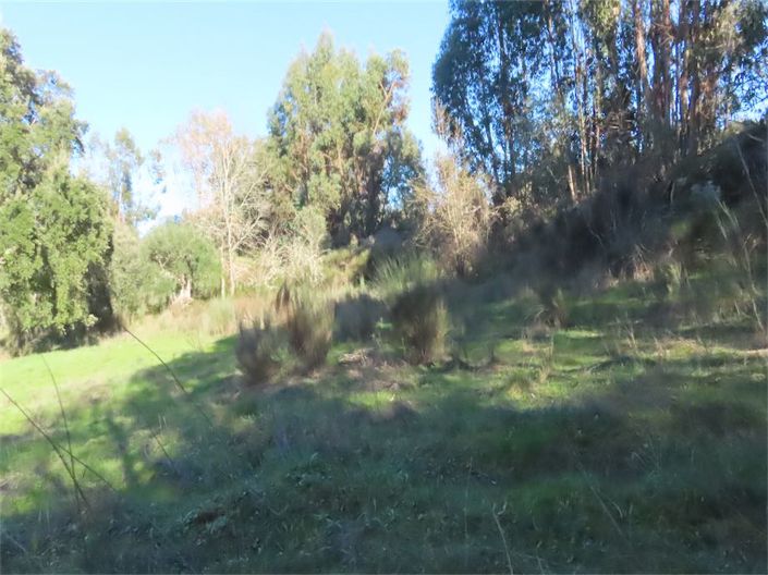 Image No.23-Property for sale