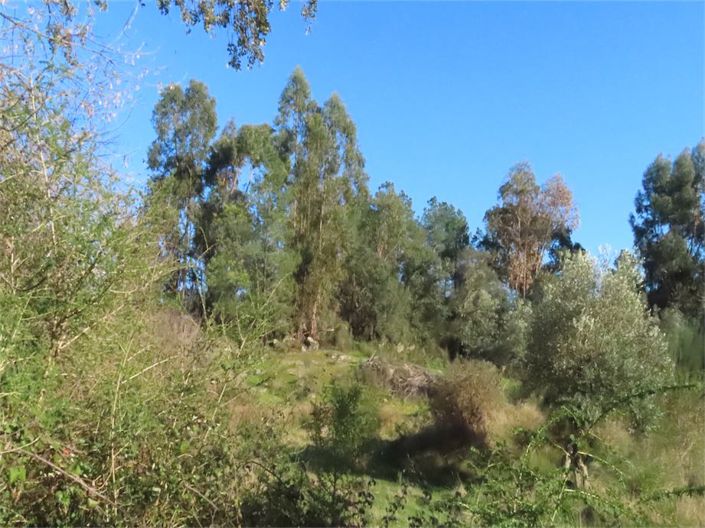 Image No.29-Property for sale