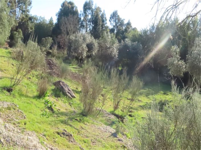 Image No.31-Property for sale