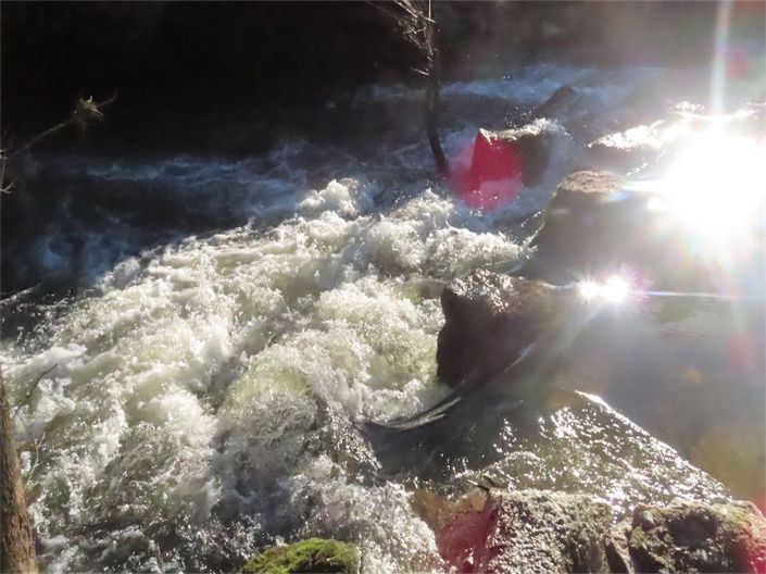 Image No.35-Property for sale