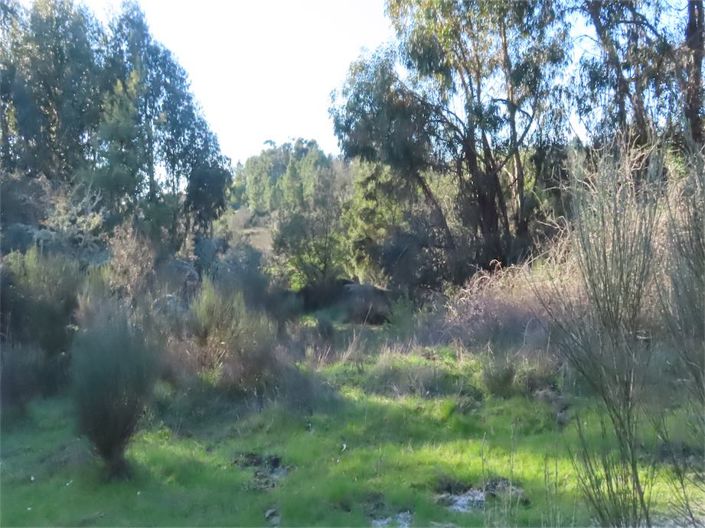 Image No.38-Property for sale