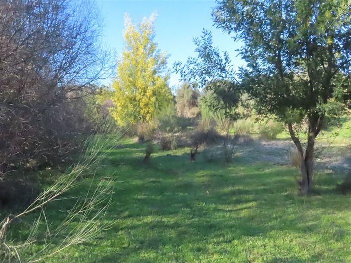 Image No.4-Property for sale