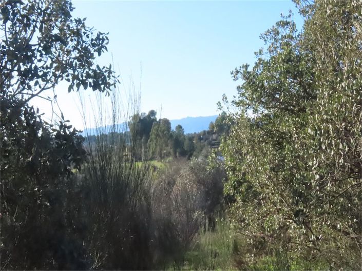 Image No.41-Property for sale