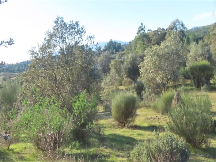 Image No.45-Property for sale