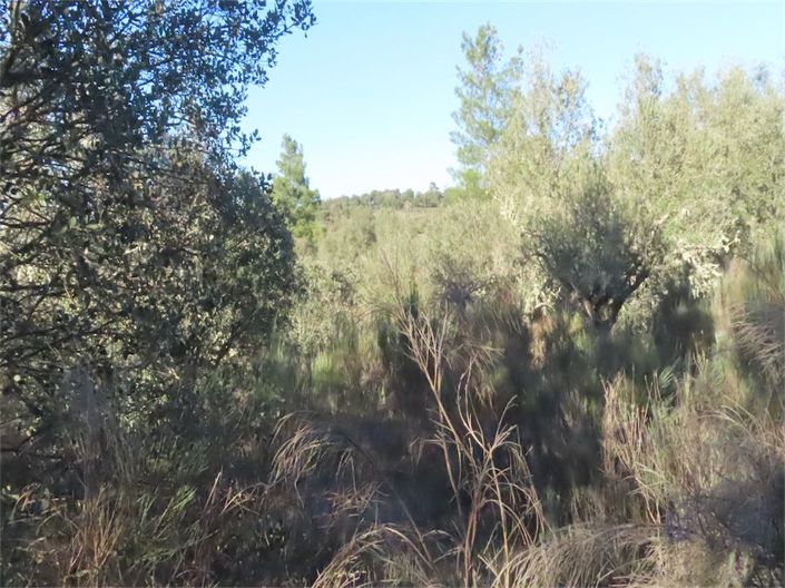 Image No.48-Property for sale