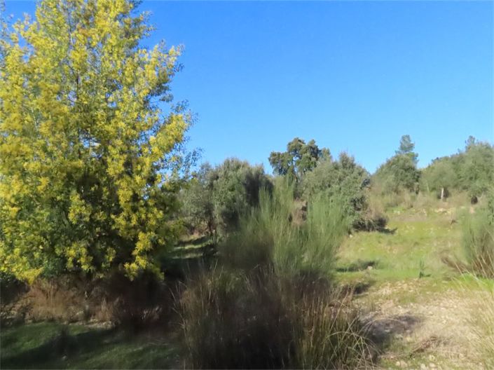 Image No.5-Property for sale