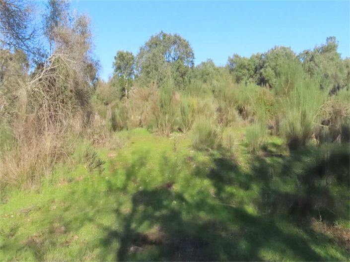 Image No.9-Property for sale