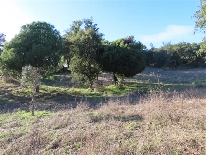 Image No.15-Property for sale