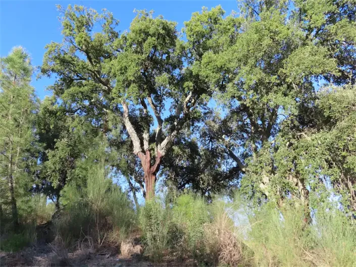 Image No.17-Property for sale