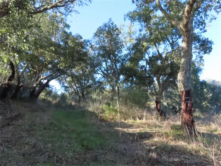 Image No.19-Property for sale