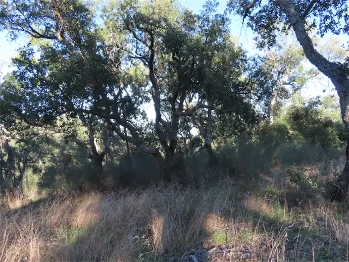 Image No.29-Property for sale