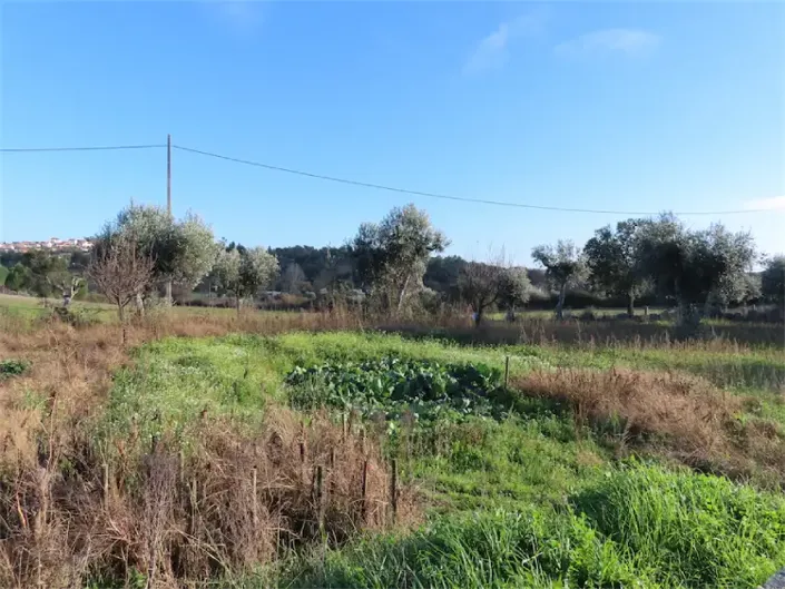 Image No.4-Property for sale