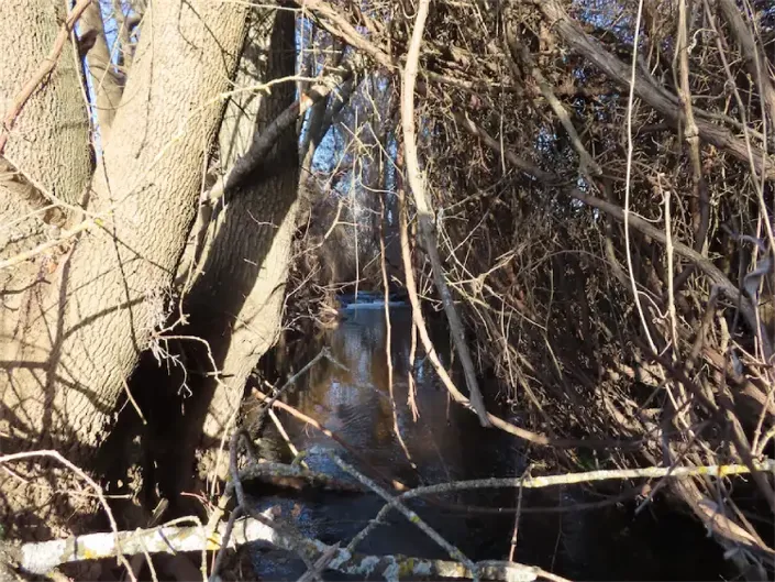 Image No.36-Property for sale