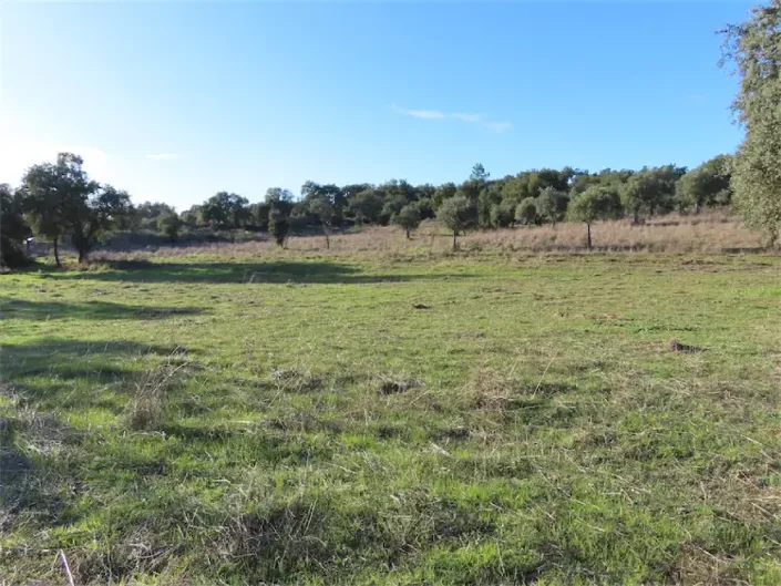 Image No.6-Property for sale