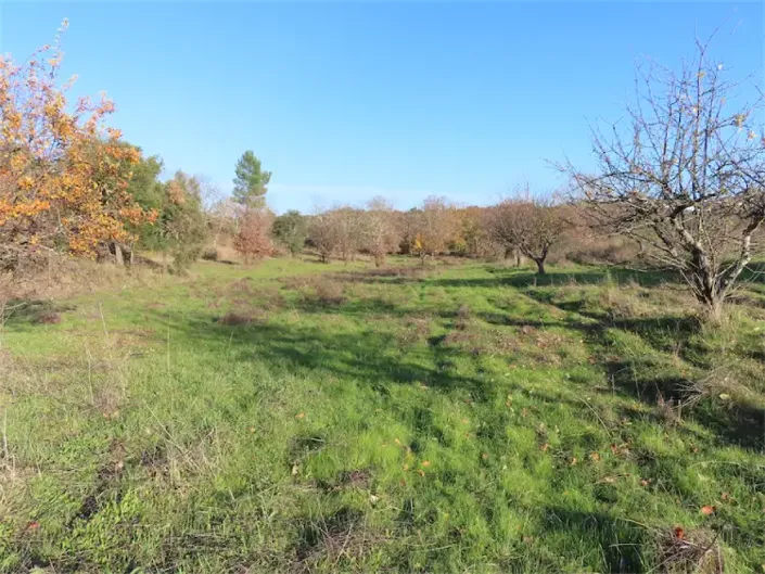 Image No.10-Property for sale