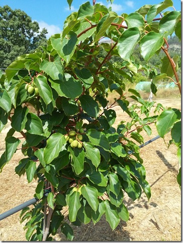 Image No.11-Property for sale