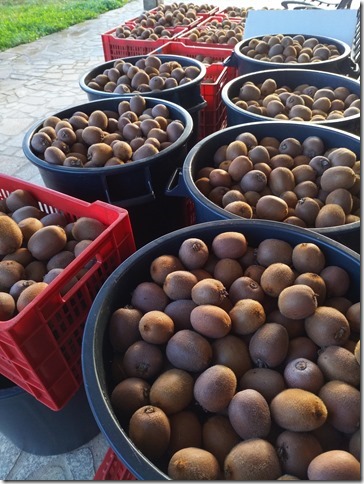 Image No.16-Property for sale