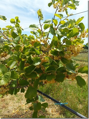 Image No.17-Property for sale