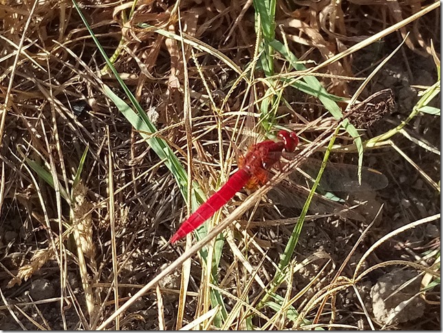 Image No.20-Property for sale