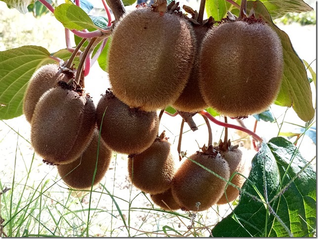 Image No.21-Property for sale