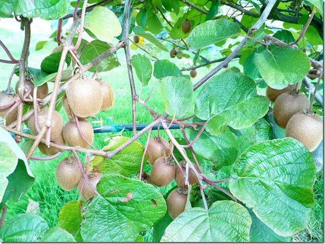 Image No.22-Property for sale