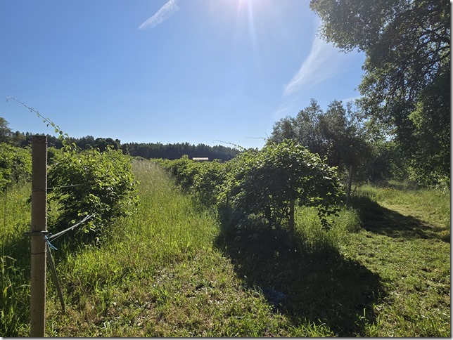 Image No.23-Property for sale