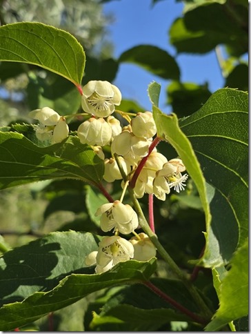 Image No.24-Property for sale